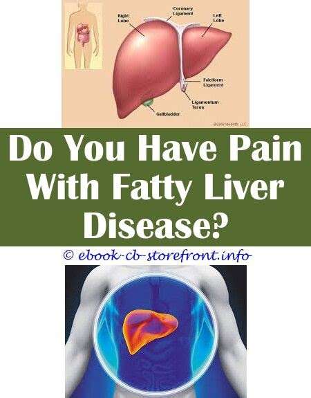Can Liver Disease Cause Fatigue - FatigueTalk.com