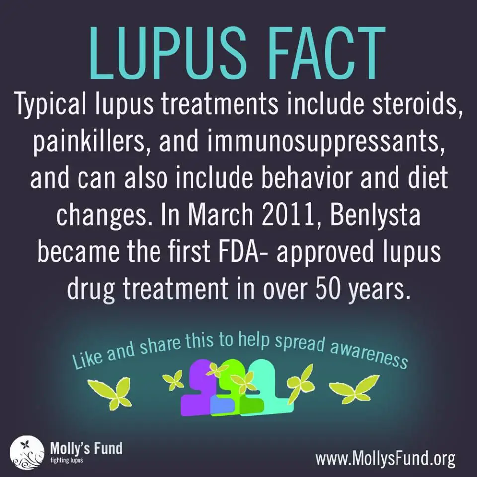 Lupus Fact / awareness