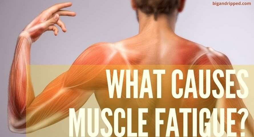 What Causes Severe Fatigue And Muscle Aches