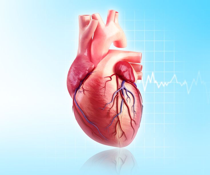 Numerous cardiac abnormalities are linked to fibromyalgia. Find out ...