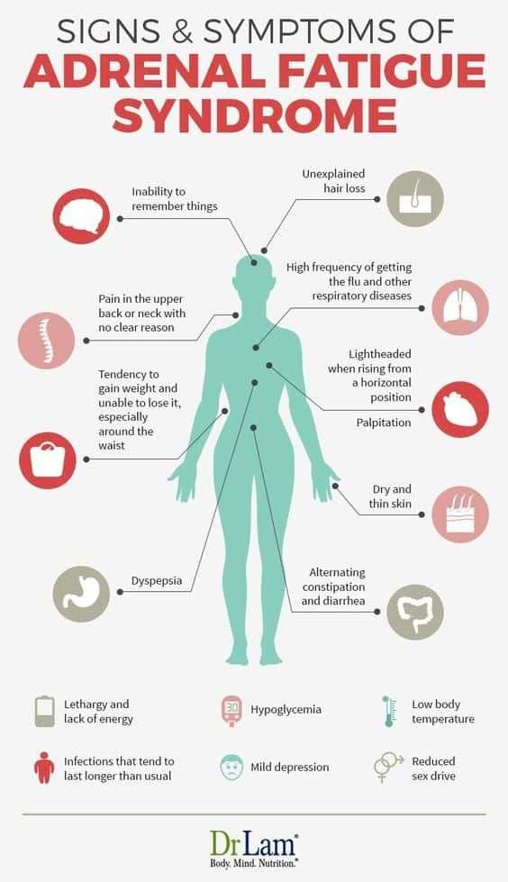 does-adrenal-fatigue-cause-anxiety-fatiguetalk