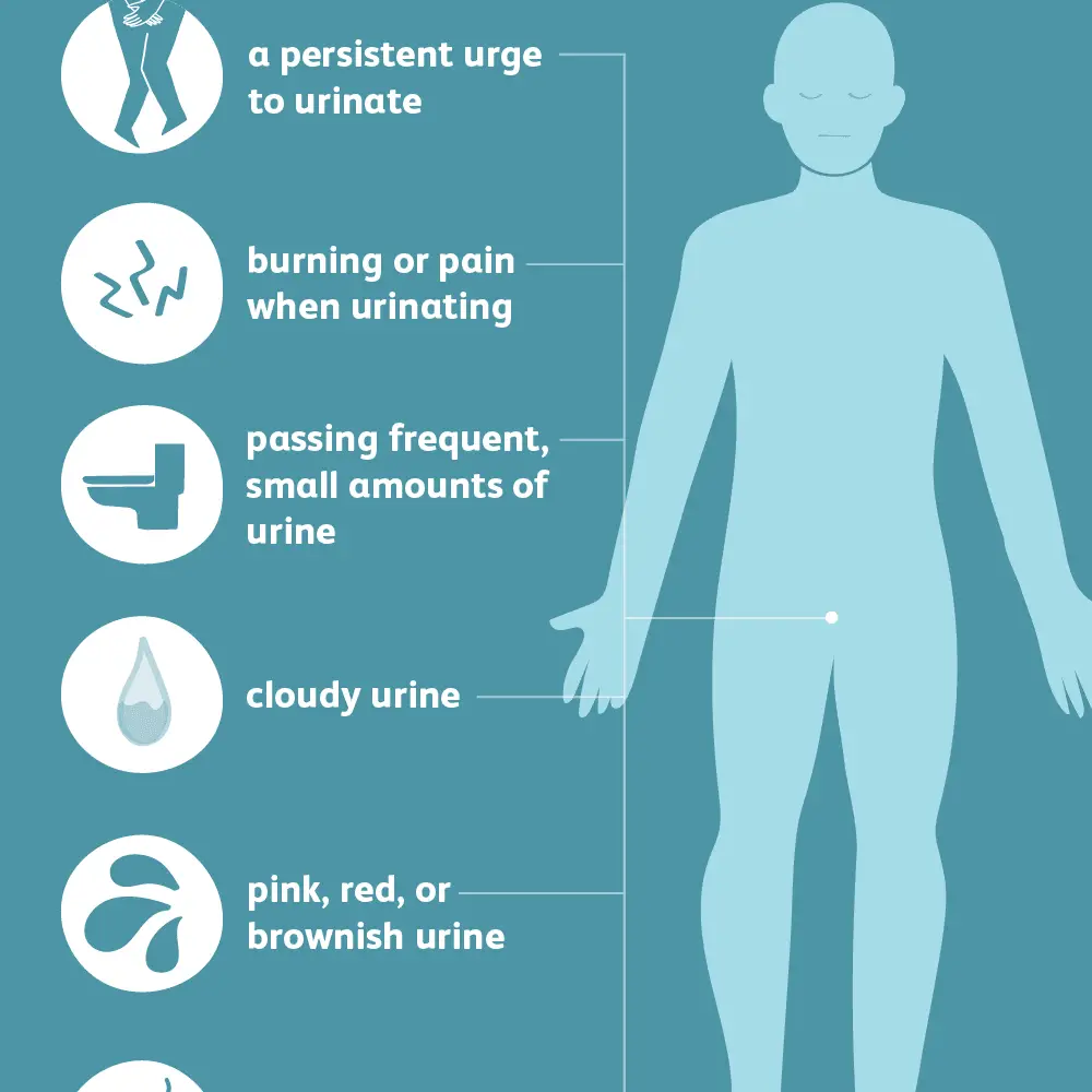 can-bladder-infection-cause-fatigue-fatiguetalk