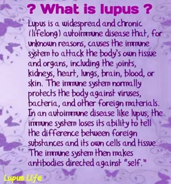 What is lupus