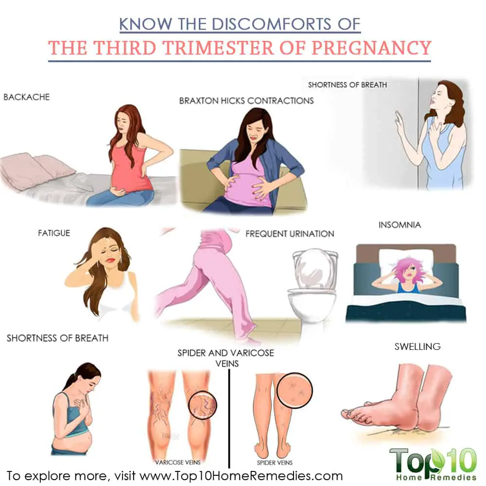 When Does The 3rd Trimester Start In Pregnancy